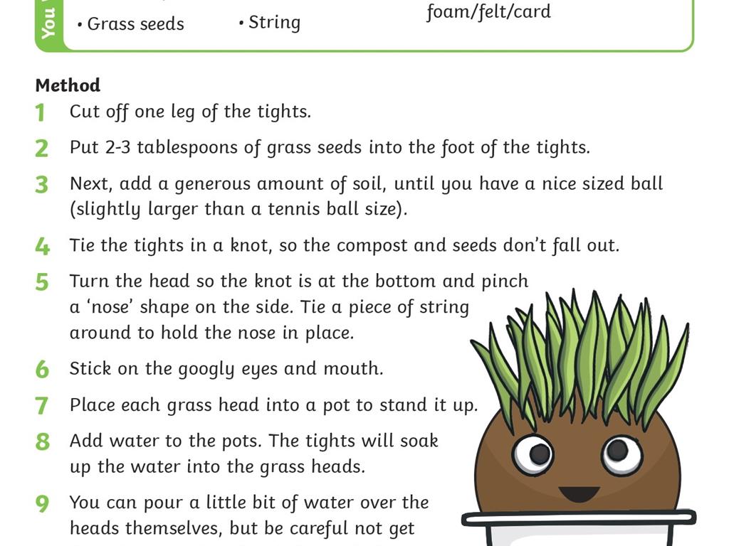 Grass Head Science Experiment_page-0001.jpg