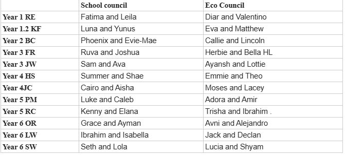 eco council.JPG